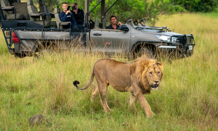 Akagera National Park