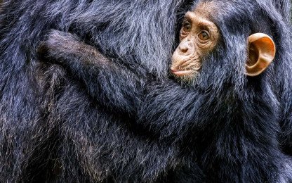 Kibale National Park