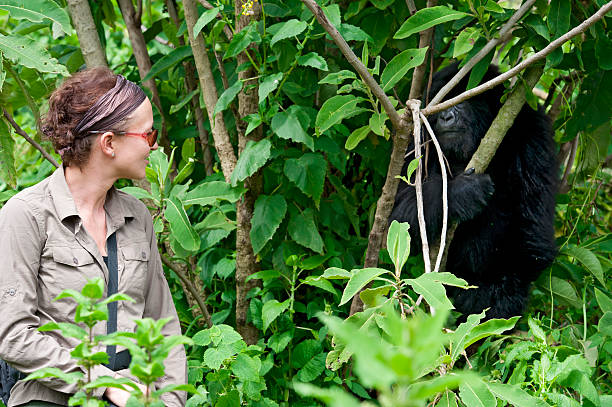 Mountain Gorilla Trek & Rwanda Adventure